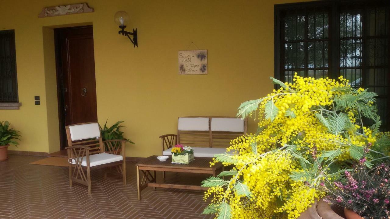 B&B La Vigna Di Federico Rubano Dış mekan fotoğraf