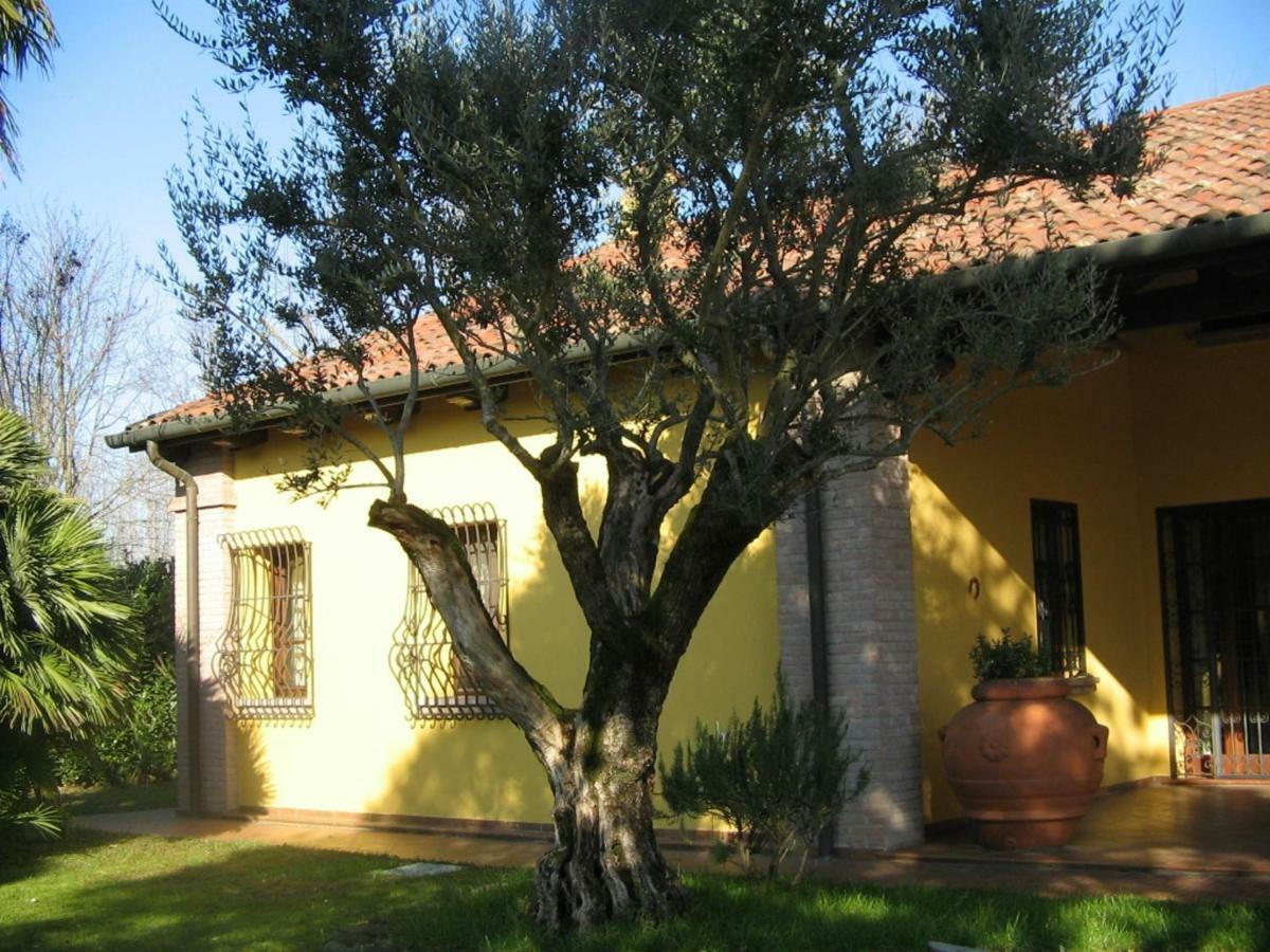 B&B La Vigna Di Federico Rubano Dış mekan fotoğraf