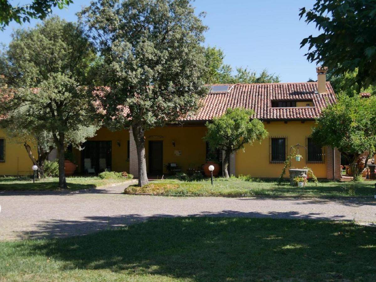 B&B La Vigna Di Federico Rubano Oda fotoğraf